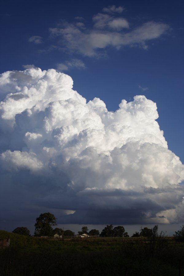 inflowband thunderstorm_inflow_band : Schofields, NSW   29 March 2008