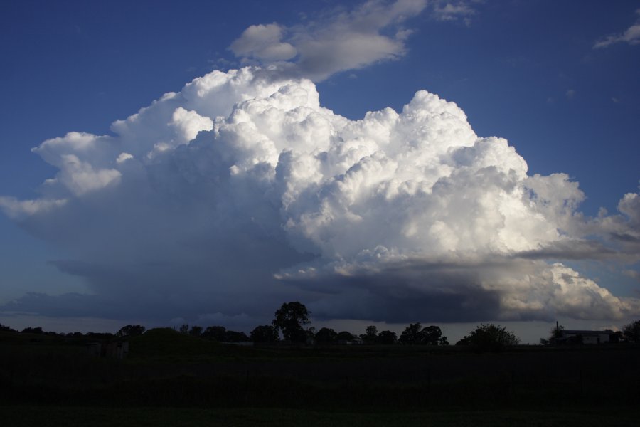 thunderstorm cumulonimbus_incus : Schofields, NSW   29 March 2008