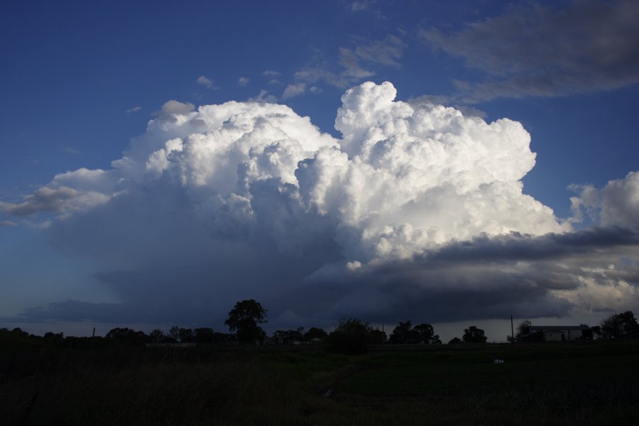 updraft thunderstorm_updrafts : Schofields, NSW   29 March 2008