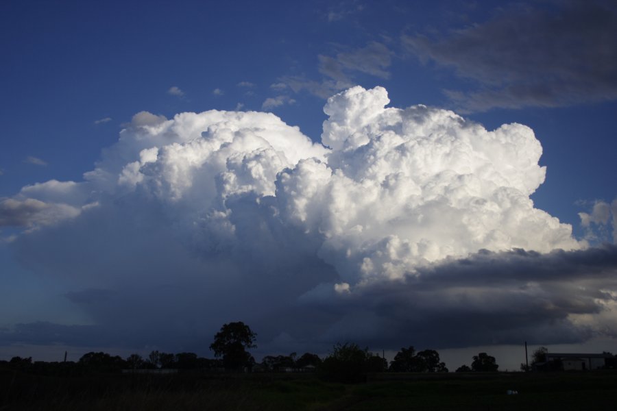 thunderstorm cumulonimbus_incus : Schofields, NSW   29 March 2008