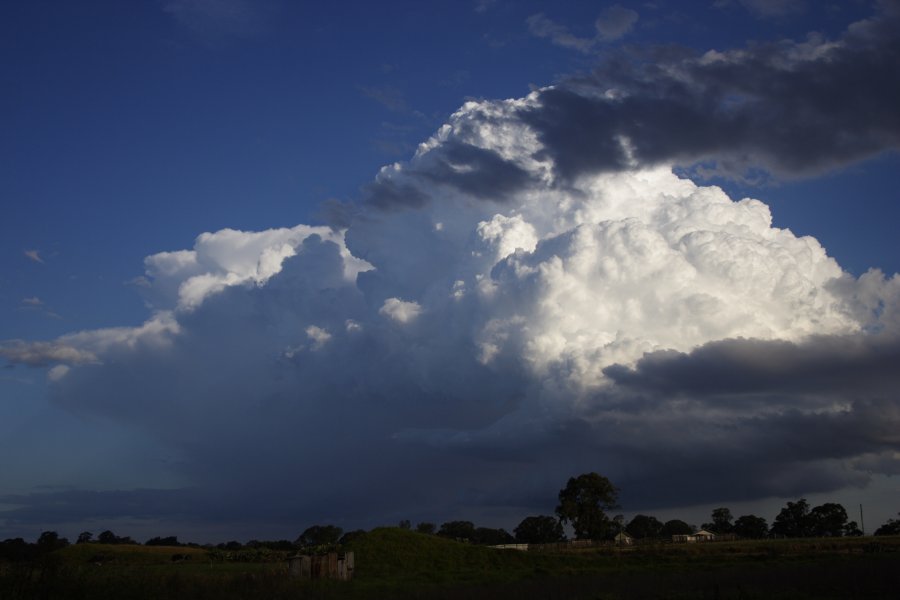 thunderstorm cumulonimbus_incus : Schofields, NSW   29 March 2008