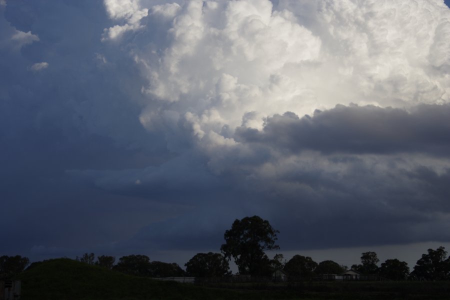 updraft thunderstorm_updrafts : Schofields, NSW   29 March 2008