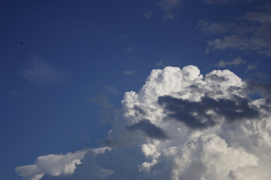 updraft thunderstorm_updrafts : Schofields, NSW   29 March 2008