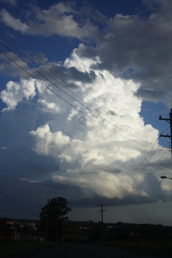 thunderstorm cumulonimbus_calvus : Schofields, NSW   29 March 2008