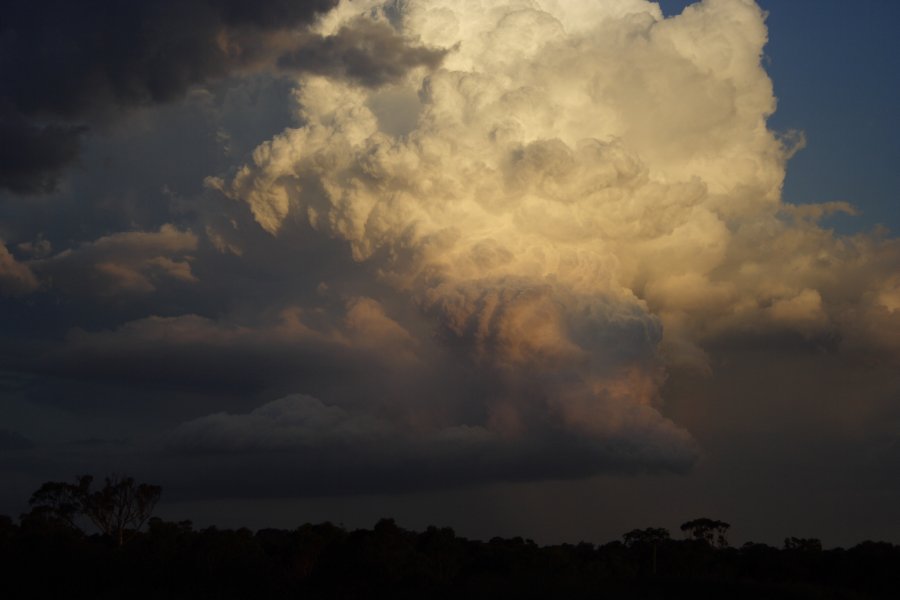 thunderstorm cumulonimbus_incus : Schofields, NSW   29 March 2008