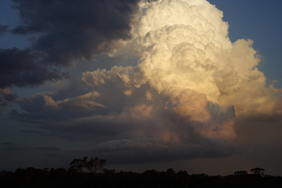 updraft thunderstorm_updrafts : Schofields, NSW   29 March 2008