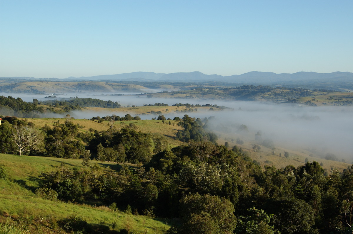 fogmist fog_mist_frost : McLeans Ridges, NSW   31 March 2008