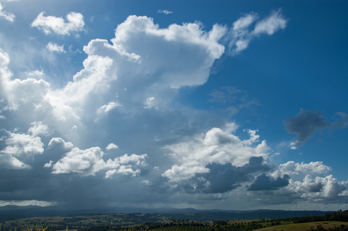 thunderstorm cumulonimbus_calvus : McLeans Ridges, NSW   12 May 2008