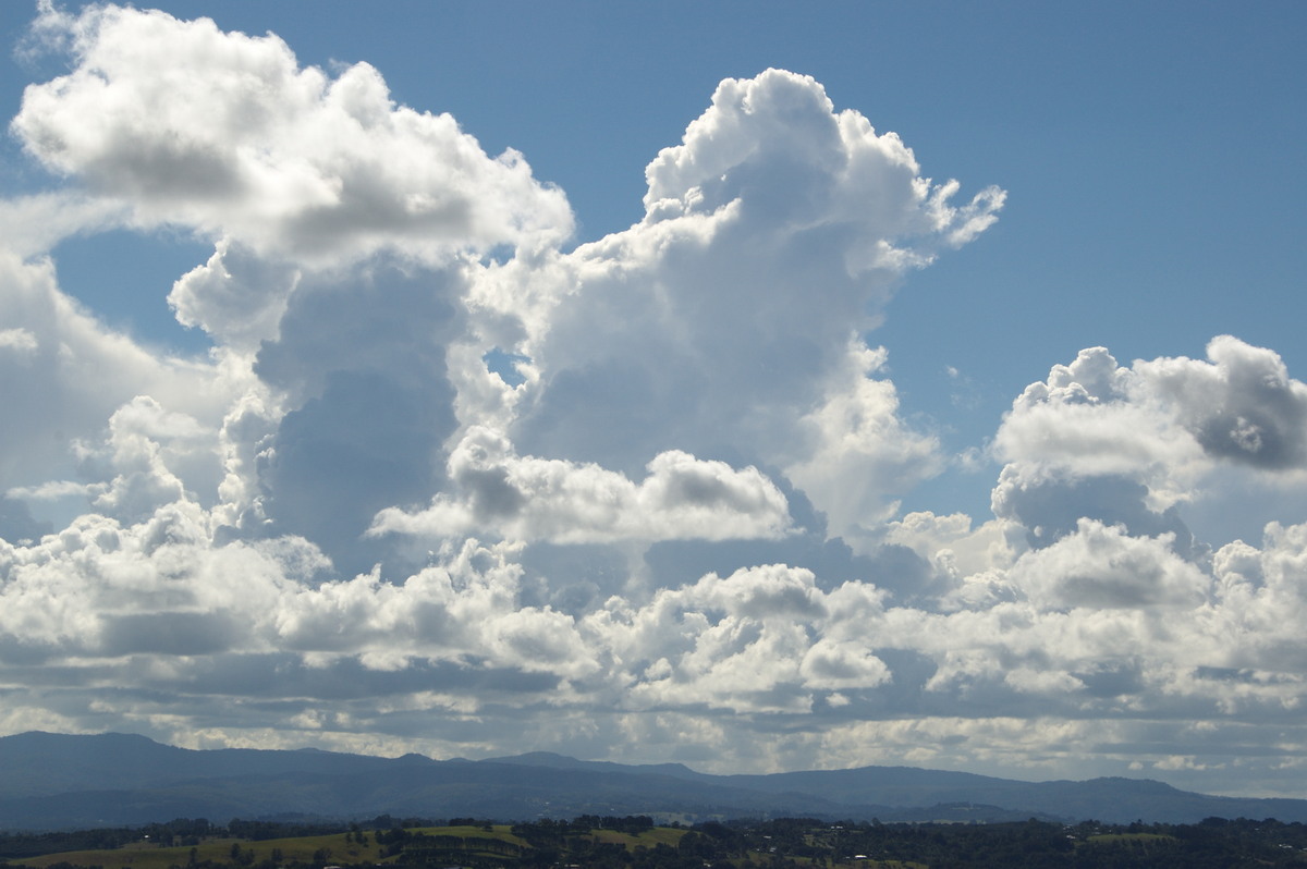 cumulus congestus : McLeans Ridges, NSW   14 May 2008