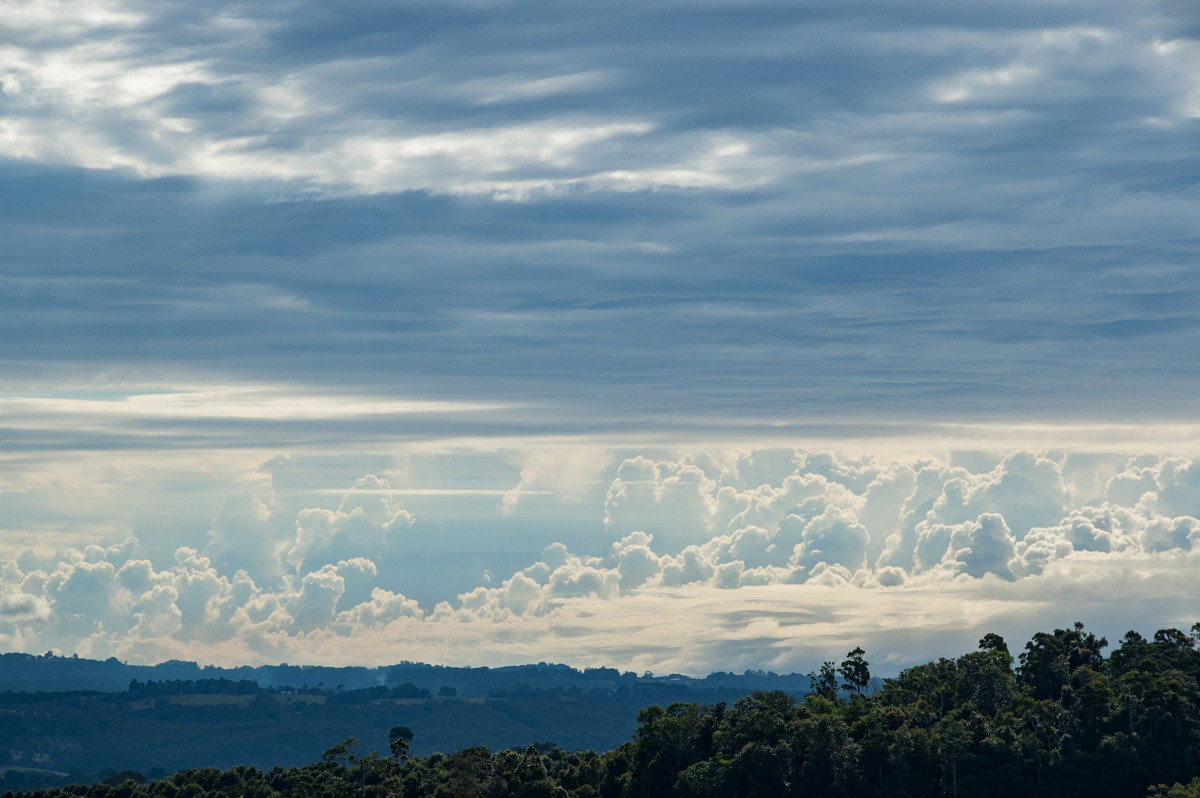 cumulus congestus : McLeans Ridges, NSW   17 May 2008