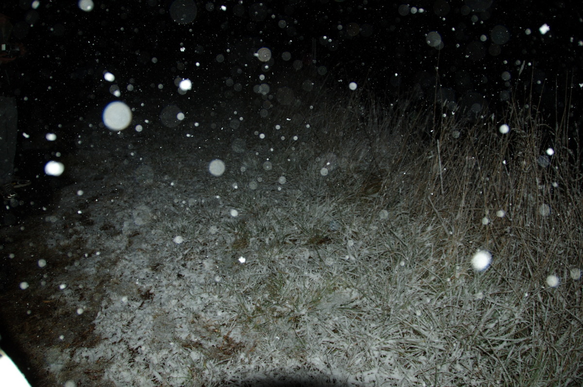 snow snow_pictures : Ben Lomond, NSW   17 May 2008