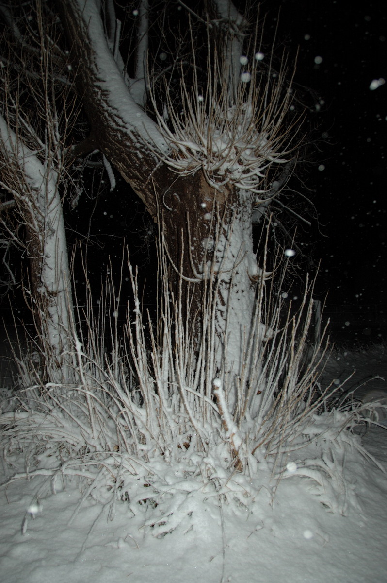 snow snow_pictures : Ben Lomond, NSW   17 May 2008