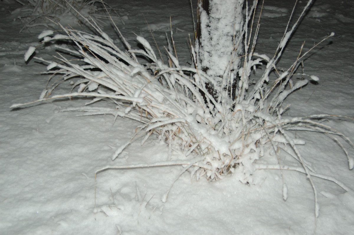 snow snow_pictures : Ben Lomond, NSW   17 May 2008