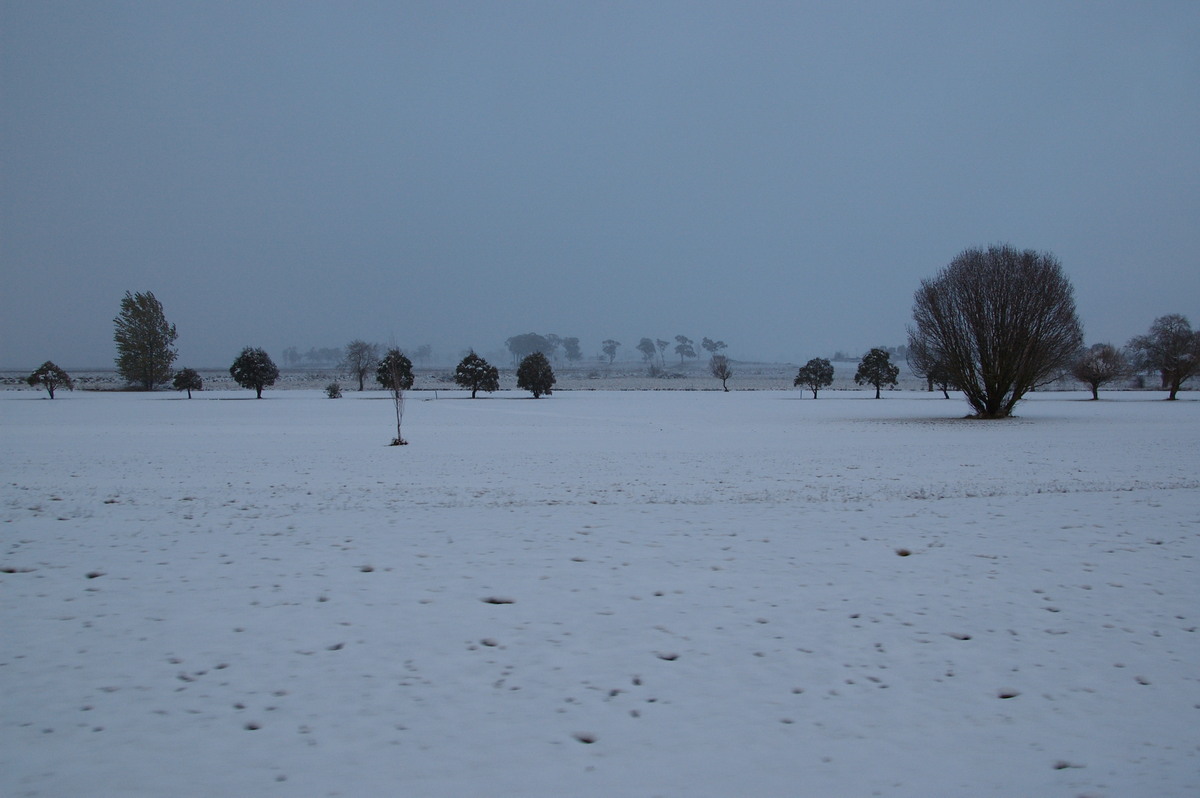 snow snow_pictures : Guyra, NSW   18 May 2008