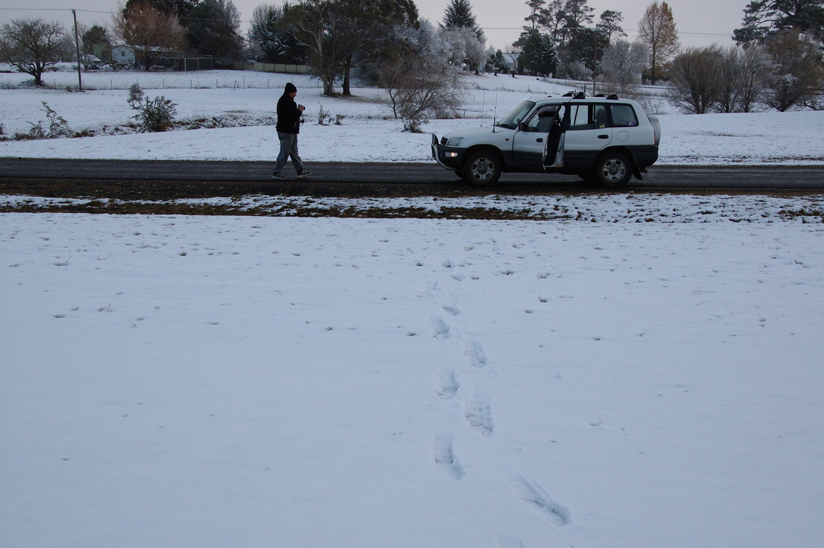 snow snow_pictures : Guyra, NSW   18 May 2008