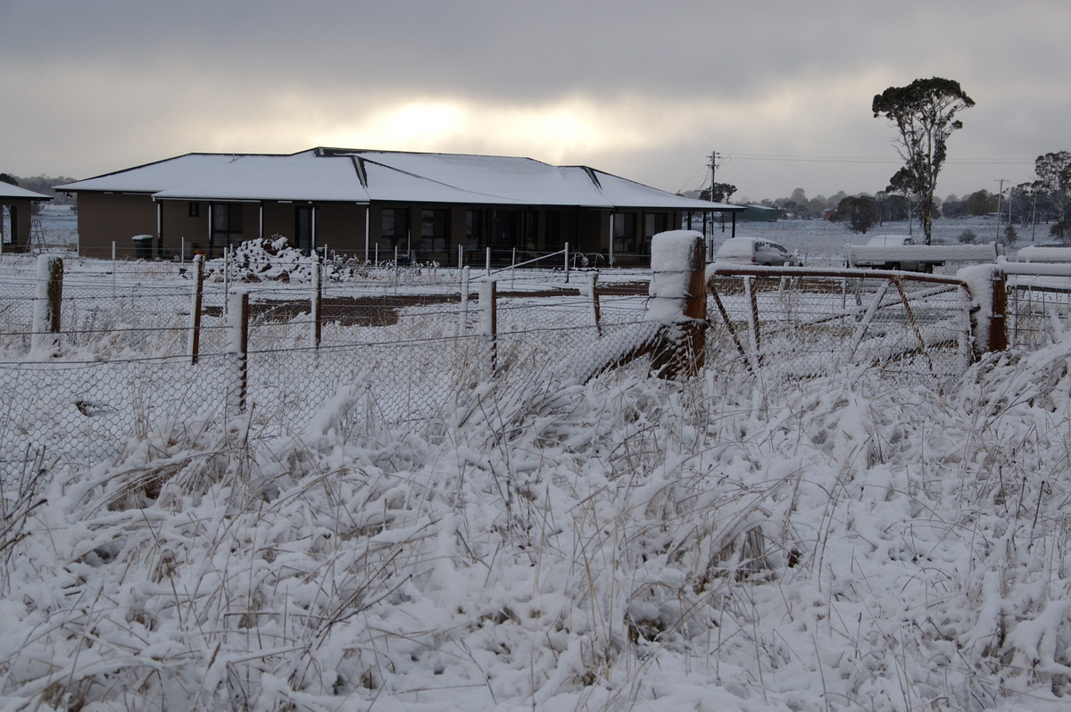 snow snow_pictures : Guyra, NSW   18 May 2008