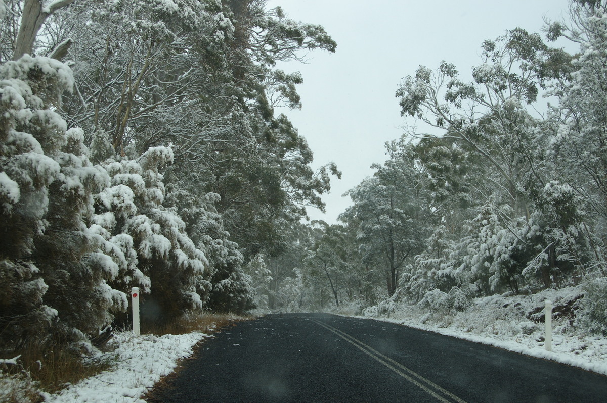 snow snow_pictures : Guyra, NSW   18 May 2008