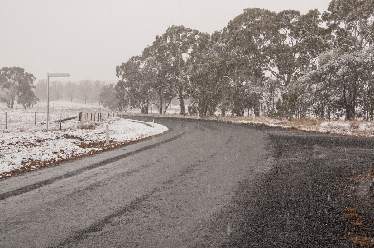 precipitation precipitation_rain : Guyra, NSW   18 May 2008