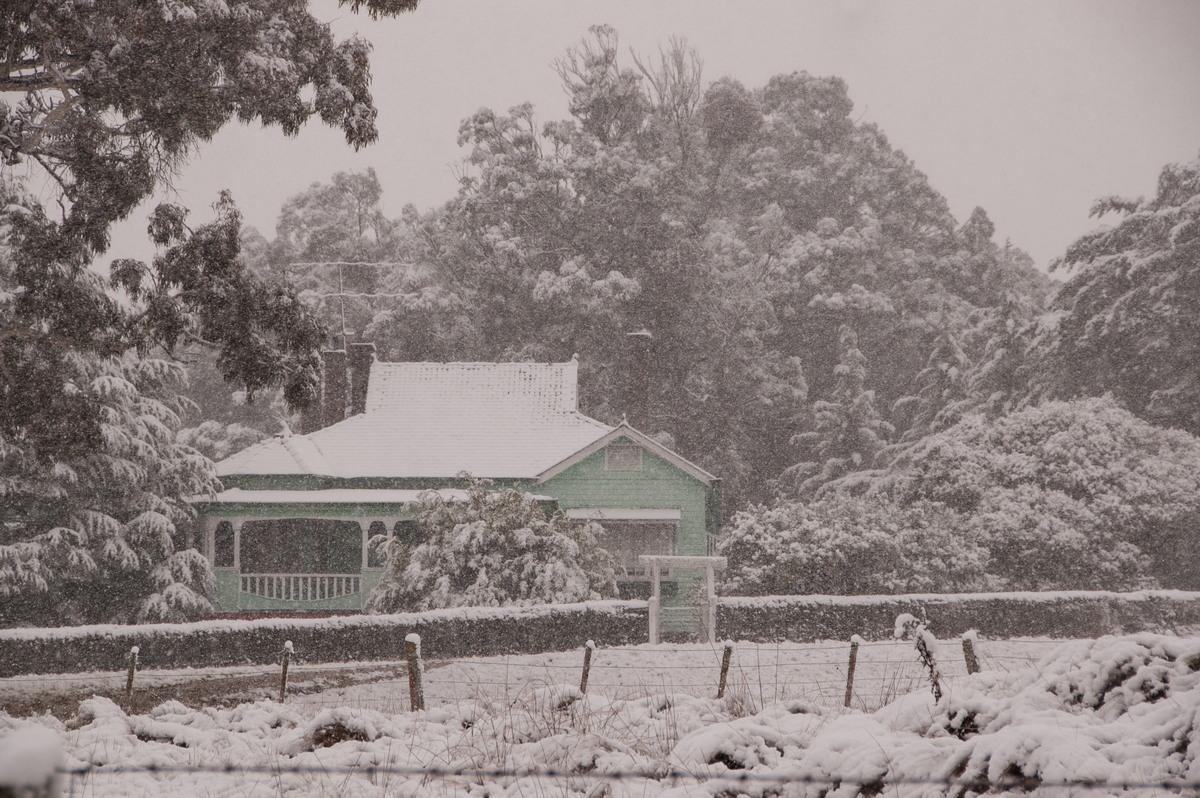 snow snow_pictures : Guyra, NSW   18 May 2008