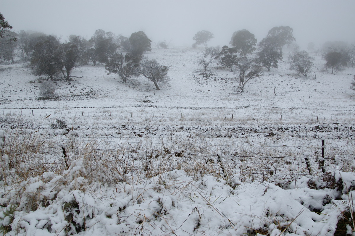 snow snow_pictures : Ben Lomond, NSW   18 May 2008