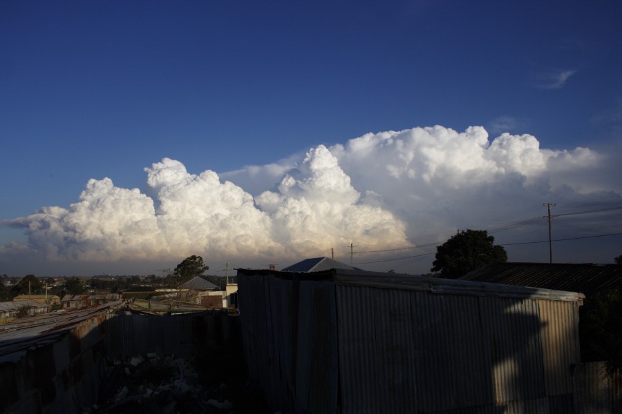 thunderstorm cumulonimbus_calvus : Schofields, NSW   28 May 2008