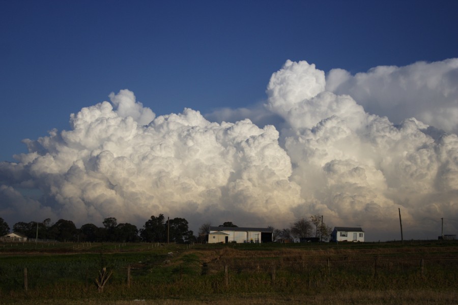 updraft thunderstorm_updrafts : Schofields, NSW   28 May 2008