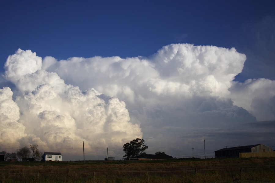 thunderstorm cumulonimbus_calvus : Schofields, NSW   28 May 2008