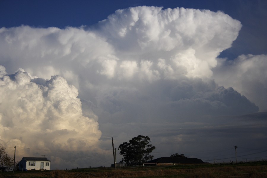 updraft thunderstorm_updrafts : Schofields, NSW   28 May 2008