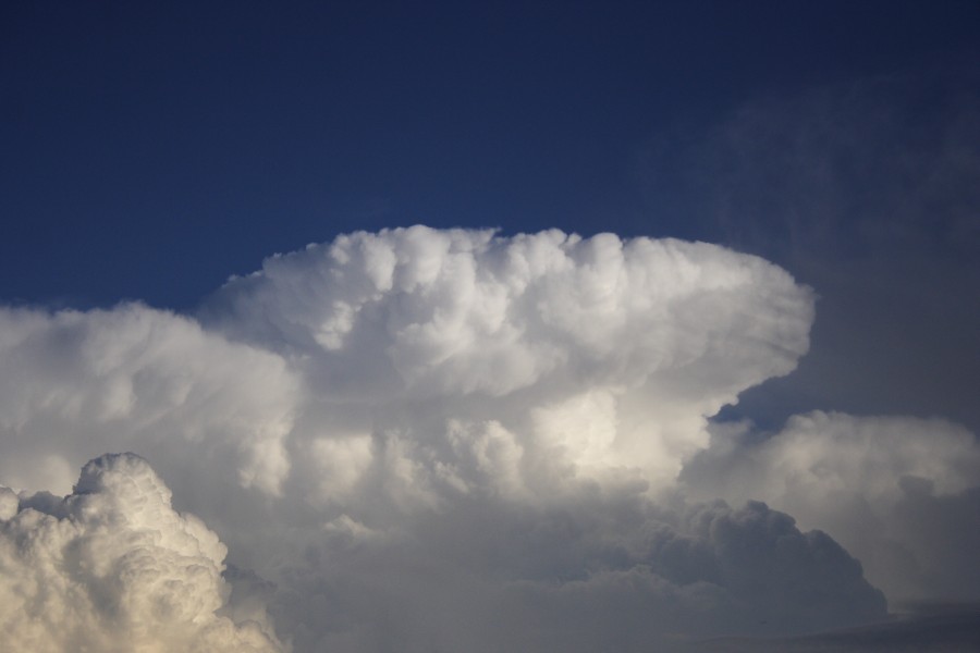 thunderstorm cumulonimbus_calvus : Schofields, NSW   28 May 2008