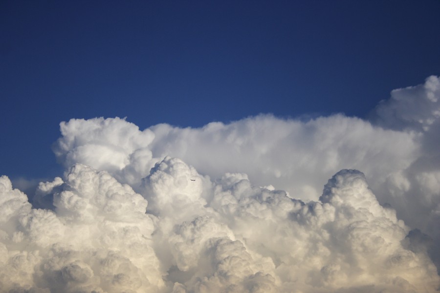 updraft thunderstorm_updrafts : Schofields, NSW   28 May 2008