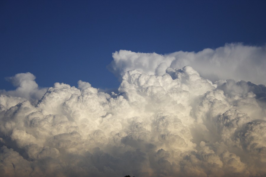 thunderstorm cumulonimbus_calvus : Schofields, NSW   28 May 2008