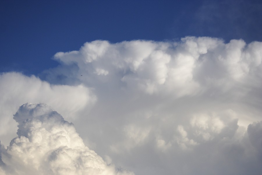 thunderstorm cumulonimbus_calvus : Schofields, NSW   28 May 2008