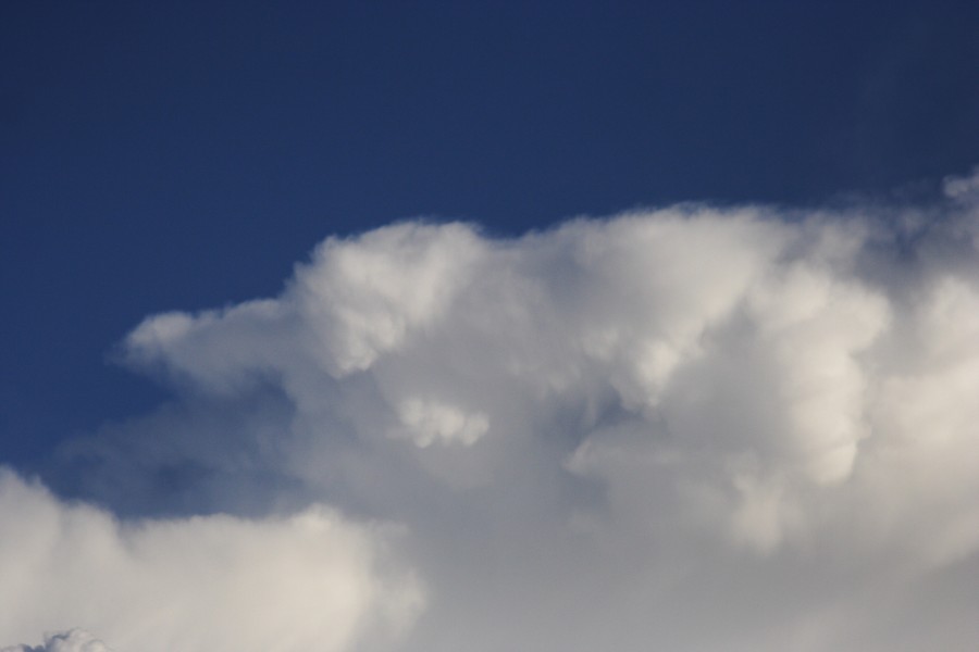 anvil thunderstorm_anvils : Schofields, NSW   28 May 2008