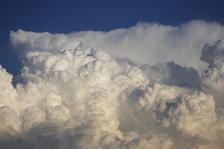 anvil thunderstorm_anvils : Schofields, NSW   28 May 2008