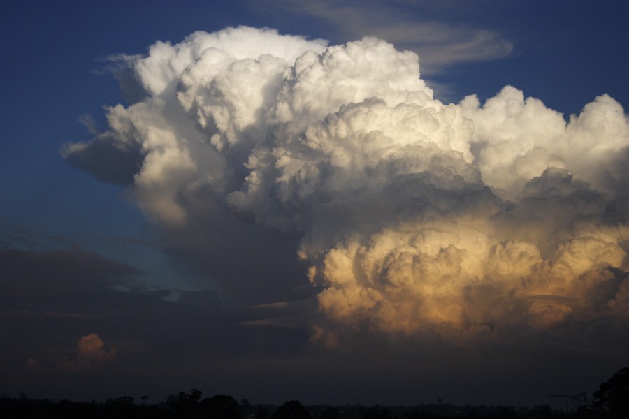 thunderstorm cumulonimbus_calvus : Schofields, NSW   28 May 2008