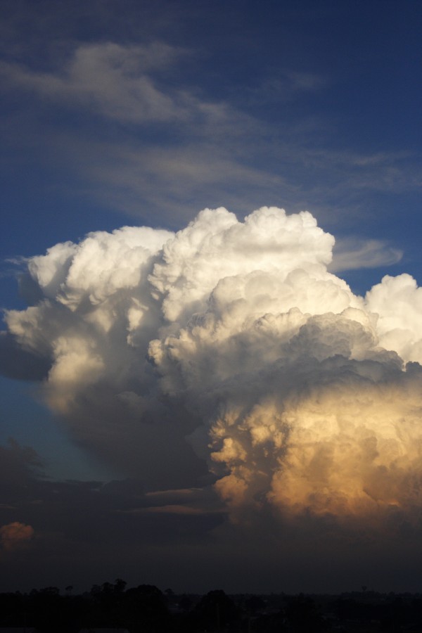 thunderstorm cumulonimbus_calvus : Schofields, NSW   28 May 2008