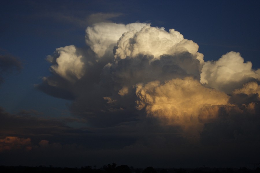 updraft thunderstorm_updrafts : Schofields, NSW   28 May 2008