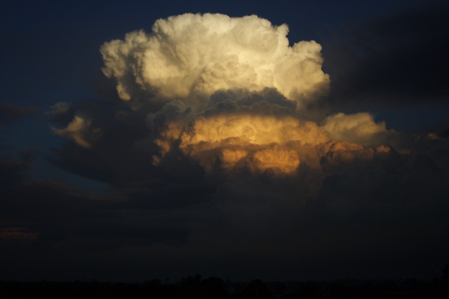 thunderstorm cumulonimbus_calvus : Schofields, NSW   28 May 2008