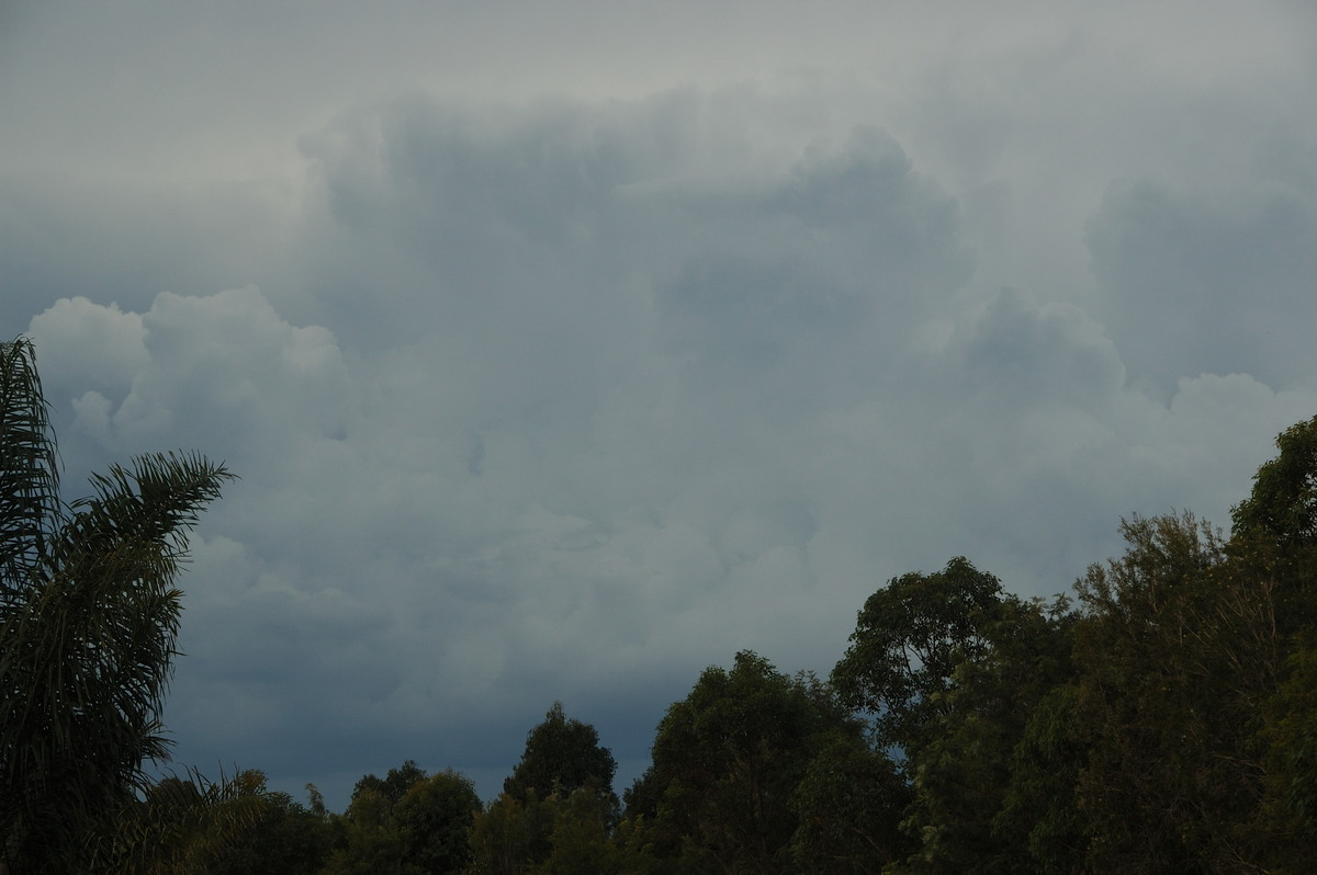 thunderstorm cumulonimbus_calvus : McLeans Ridges, NSW   28 May 2008