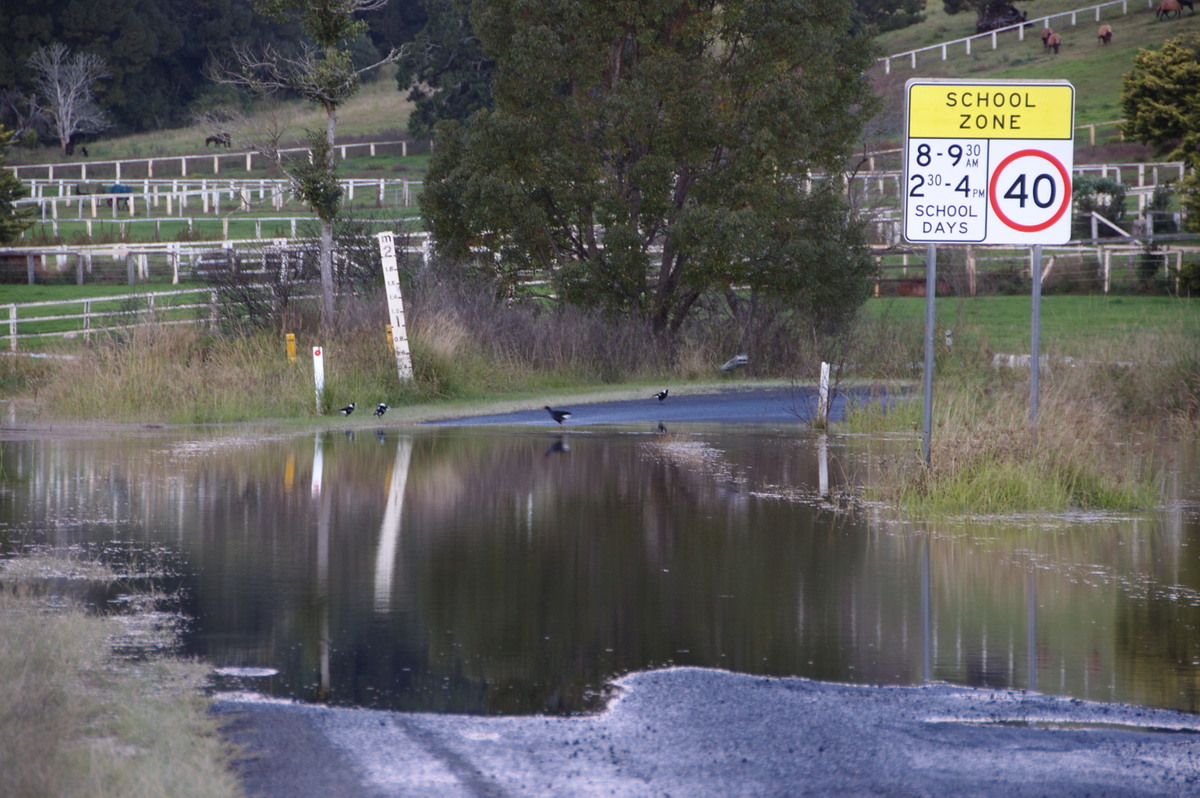 flashflooding flood_pictures : Eltham, NSW   3 June 2008