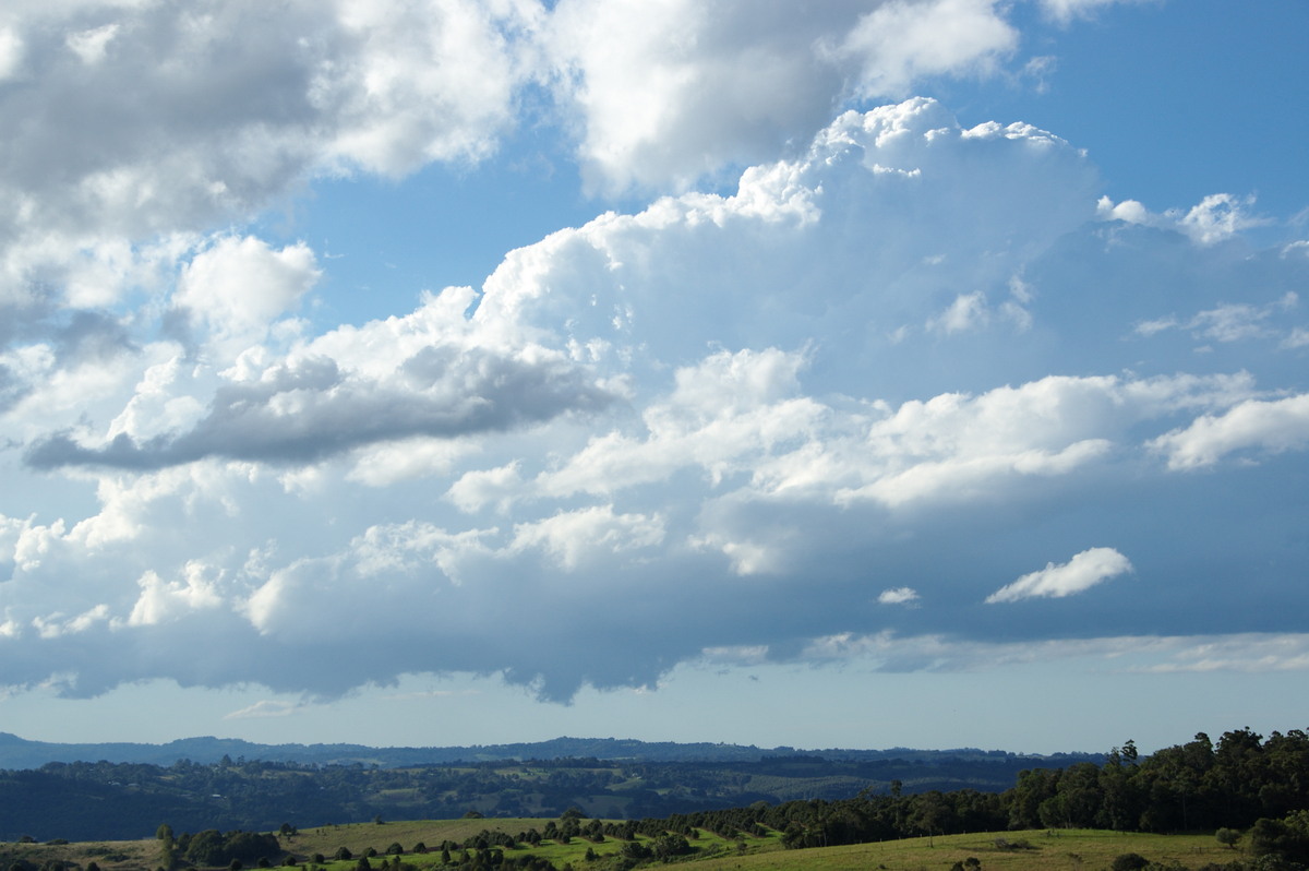 cumulus congestus : McLeans Ridges, NSW   20 June 2008