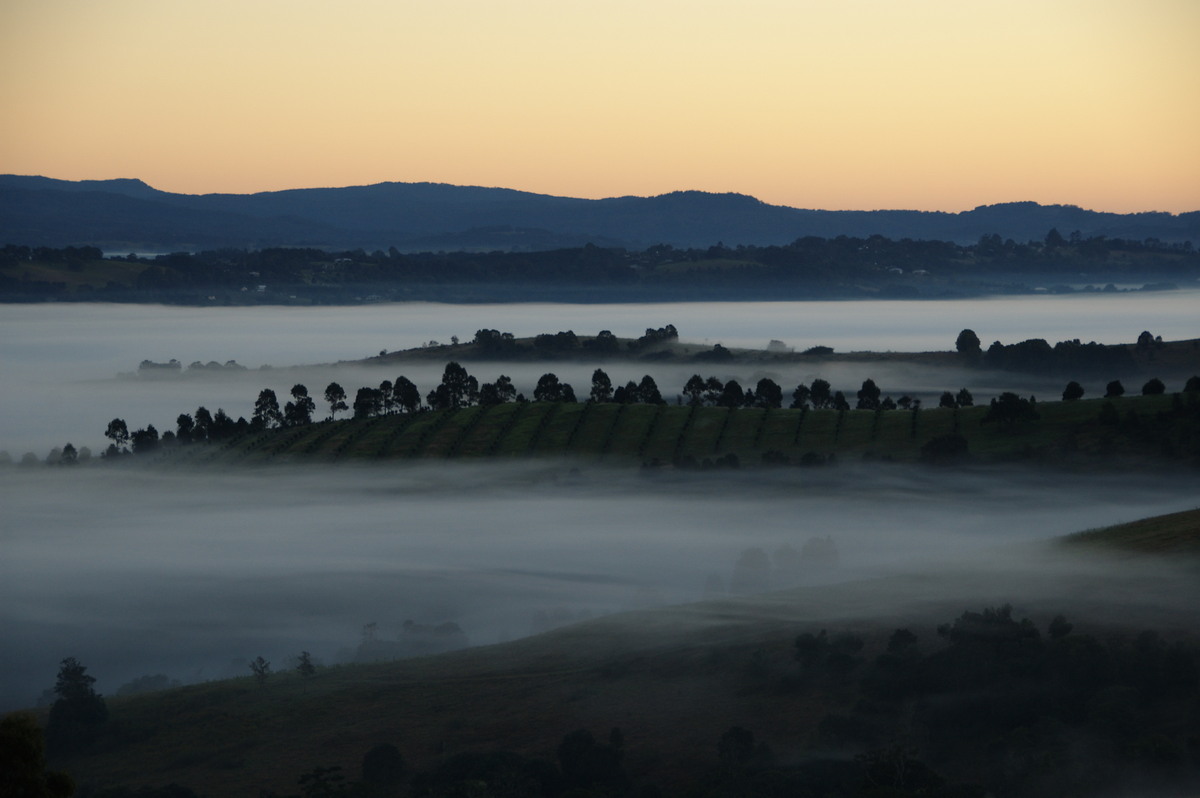 sunrise sunrise_pictures : McLeans Ridges, NSW   26 June 2008