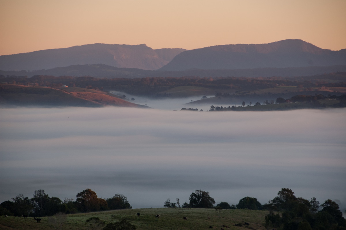 favourites michael_bath : McLeans Ridges, NSW   26 June 2008