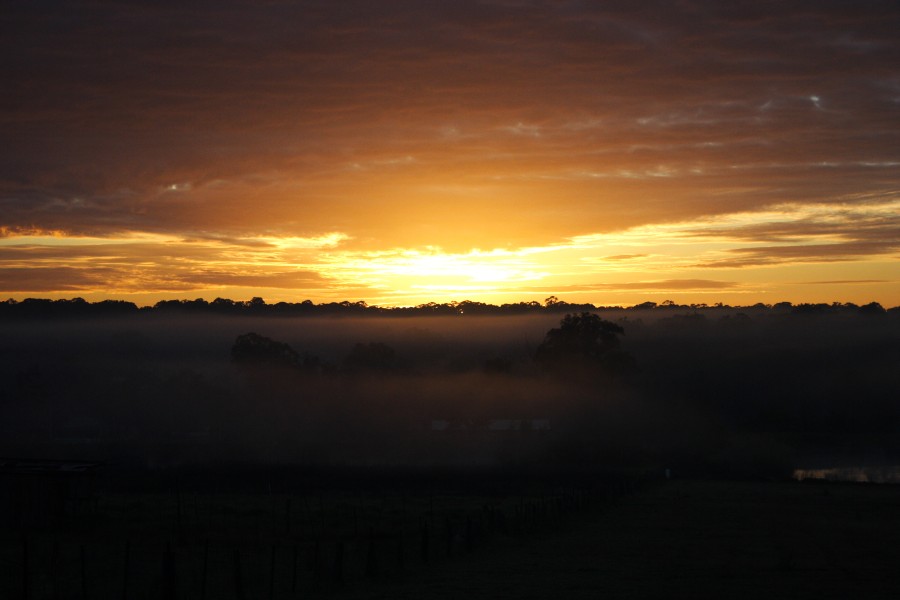 fogmist fog_mist_frost : Schofields, NSW   6 July 2008