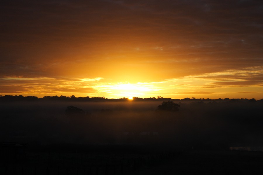 sunrise sunrise_pictures : Schofields, NSW   6 July 2008