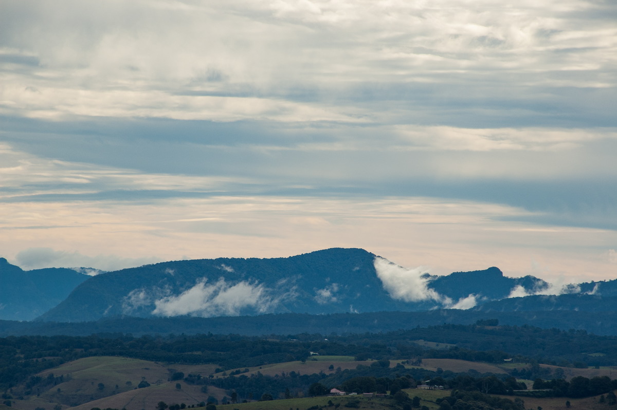 fogmist fog_mist_frost : McLeans Ridges, NSW   8 July 2008