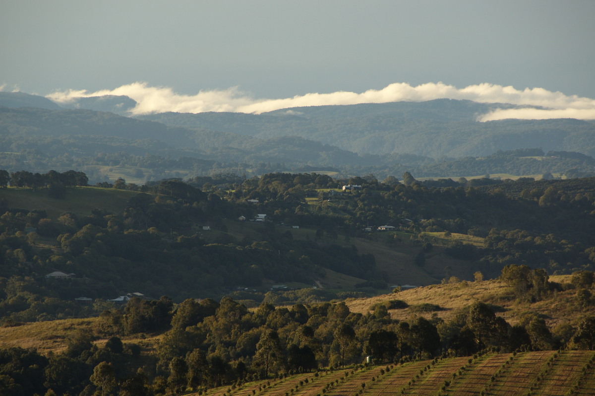 fogmist fog_mist_frost : McLeans Ridges, NSW   8 July 2008