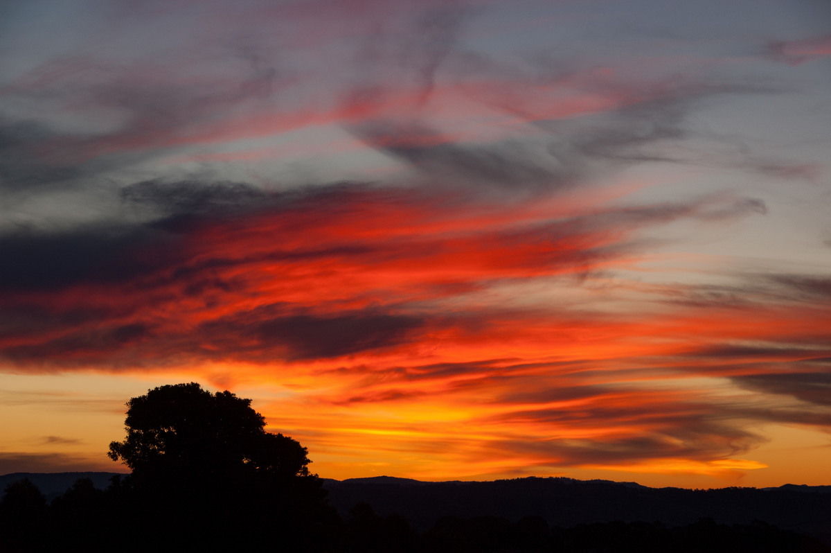 sunset sunset_pictures : McLeans Ridges, NSW   10 July 2008