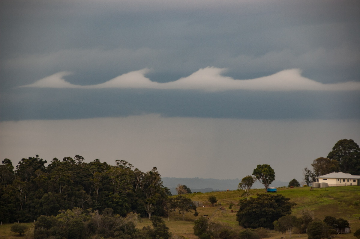 favourites michael_bath : McLeans Ridges, NSW   15 July 2008