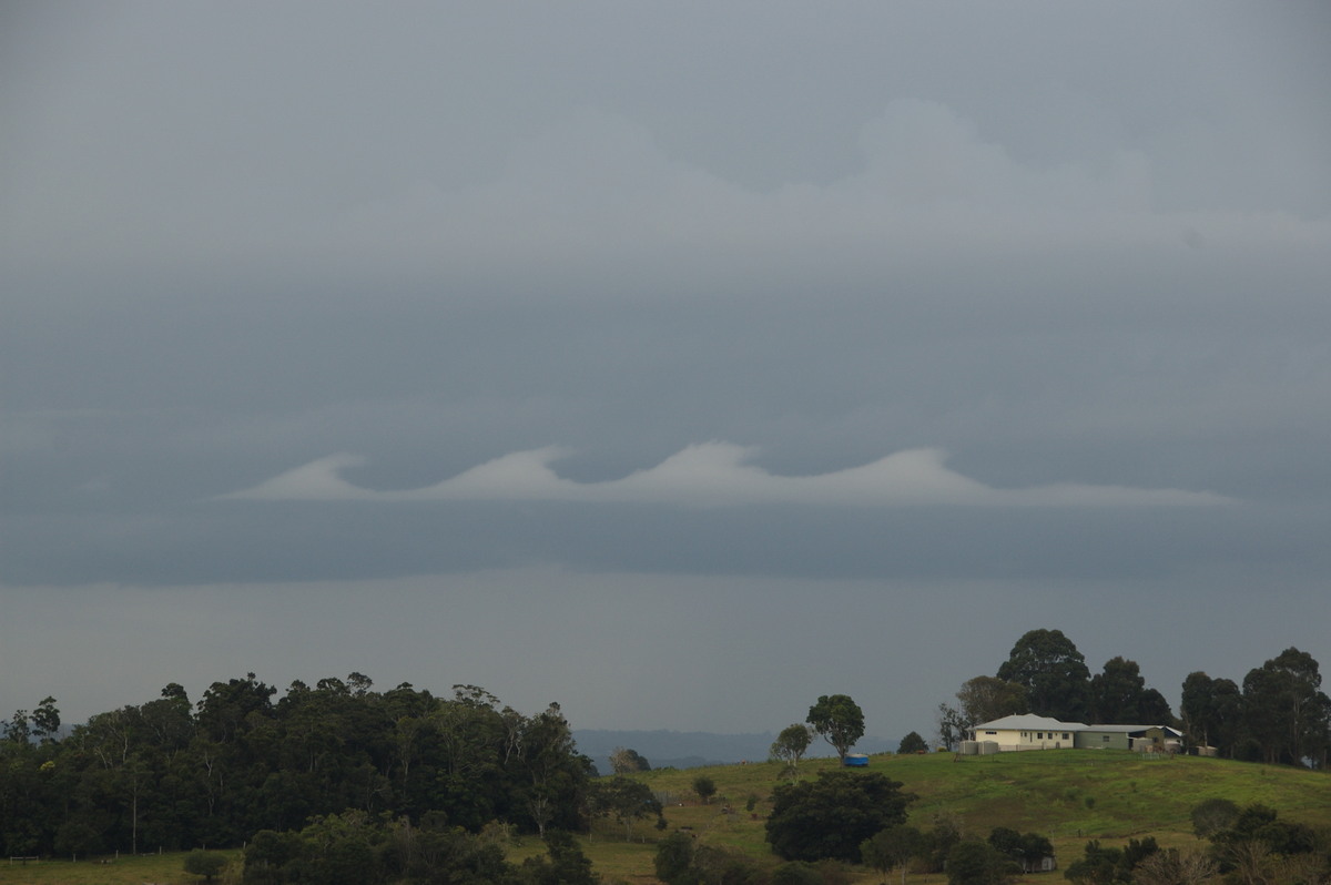 nimbostratus nimbostratus_cloud : McLeans Ridges, NSW   15 July 2008